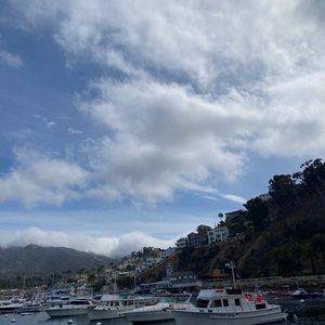 Meet your Posher, Sy